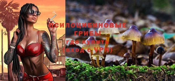COCAINE Костерёво